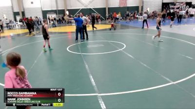 100 lbs Semifinal - Rocco Gambaiana, MWC Wrestling Academy vs Hank Johnsen, Elkhorn Valley Wrestling Club