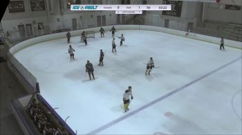 Replay: Home - 2024 Comets vs Fighting Fish | Jan 29 @ 9 PM