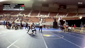 D1-175 lbs Champ. Round 1 - Nathaniel Wine, Marana High School vs Anthony Palermo, Pinnacle High School