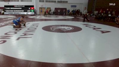 141 lbs Cons. Round 2 - Cael Bridgewater, Upper Iowa vs Brayden Burmeister, Luther