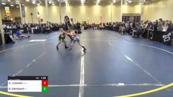 75 lbs Quarterfinal - Owen Lisowski, Southern Tioga vs Brayden Steinbach, St. Marys