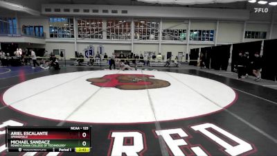 125 lbs Cons. Round 2 - Ariel Escalante, Springfield vs Michael Sandacz, Pennsylvania College Of Technology