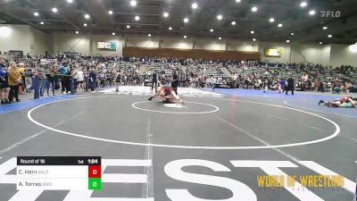 200 lbs Round Of 16 - Cooper Hern, Bald Eagle Wrestling vs Alijah Torres, Askeo International Matclub