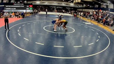 165 lbs Cons. Round 2 - Justice Hockenberry-folk, Elizabethtown vs Andre Allen, McDaniel