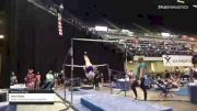 Ava Hicks - Women's Group, Swiss Turners Gymnastics Academy - 2021 Women's Xcel Region 4 Championships