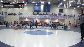 175 lbs Semifinal - Camron Pedigo, Mountain Home vs Anthony Butler, Eagle High School