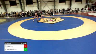 157 lbs Semifinal - Peter Kane, Williams vs Nicholas DeLorenzo, Delaware Valley