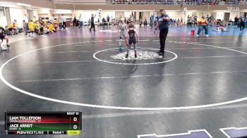 65 lbs Finals (8 Team) - Jace Arndt, LCWM vs Liam Tollefson, Chaska/Chanhassen