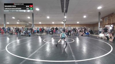 74 lbs Quarterfinal - Branden Rios, Waymart vs Lincoln Scicchitano, Coal Township