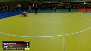 108 lbs Cons. Semi - Levi Moenkedick, Hibbing vs Wynia Kray, K-M