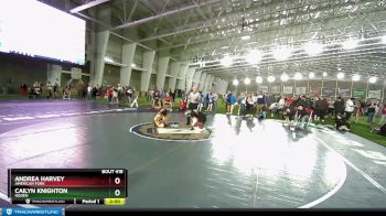 125 lbs Cons. Round 2 - Andrea Harvey, American Fork vs Cailyn Knighton, Ogden