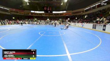 120 lbs Quarterfinal - Brett Bates, Walden Grove vs Ace Pedro, Tempe High School