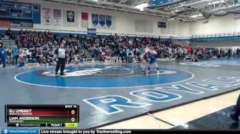 132 lbs Champ. Round 1 - Liam Anderson, Rosemount vs Eli Umbreit, Rush City-Braham