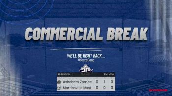 Martinsville Mustangs vs. Asheboro ZooKeepers - 2025 Asheboro ZooKeepers vs Martinsville Mustangs