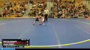 50 lbs Round 3 - Britton Sprabary, Roseau Wrestling Club vs Briggs Weber, Lacrosse Area Wrestlers