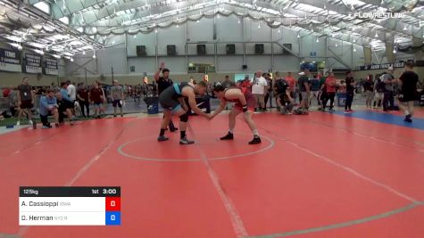 125 kg Round Of 32 - Anthony Cassioppi, IOWA vs Daniel Herman, New York City Regional Training Center