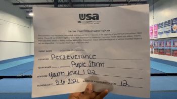 Northwest Power Athletics - Purple Storm [L1 Youth - D2] 2021 USA All Star Virtual Championships