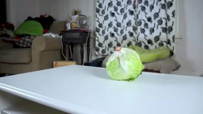 Clumsy Puppy Steals Lettuce- Cute Puppy Potpie & Funny Dog Maymo