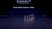 Premier Athletics Columbia - Wildfire [2021 Junior Contemporary / Lyrical - Small Semis] 2021 The Dance Summit