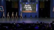 Dance Dynamics Junior Pink [2019 Junior Small Contemporary/Lyrical Day 1] NDA All-Star National Championship