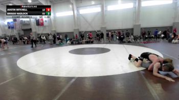 138 lbs Champ. Round 2 - Briggs Hadlock, Payson vs Austin Mitchell, Layton