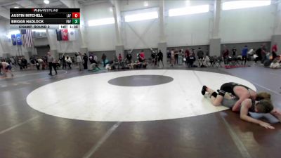 138 lbs Champ. Round 2 - Briggs Hadlock, Payson vs Austin Mitchell, Layton