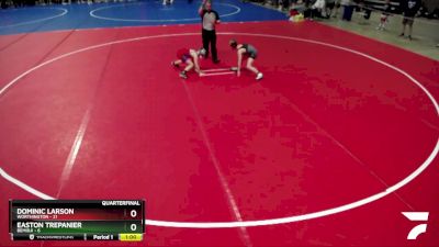 75 lbs Quarterfinals (8 Team) - Dominic Larson, Worthington vs Easton Trepanier, Bemidji