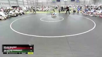 100 lbs 2nd Wrestleback (16 Team) - Rylan Seacrist, Ohio Scarlet vs Salvatore Borrometi, New Jersey