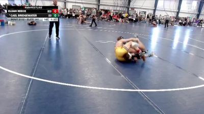 Elite 141 lbs Cons. Round 4 - Cael Bridgewater, Upper Iowa vs Elijah Reece, Minnesota State