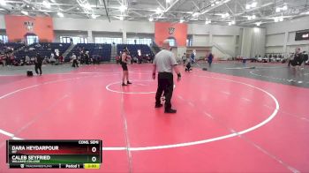 149 lbs Cons. Semi - Caleb Seyfried, Williams College vs Dara Heydarpour, RIT