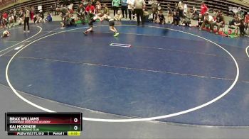 75 lbs Semifinal - Brax Williams, Sanderson Wrestling Academy vs Kai McKenzie, Aniciete Training Club