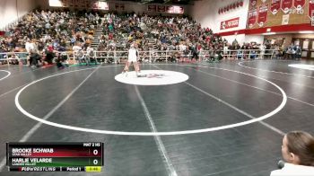 170 lbs 3rd Place Match - Brooke Schwab, Star Valley vs Harlie Velarde, Lander Valley