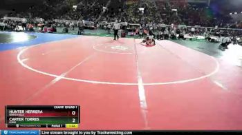 5A 182 lbs Champ. Round 1 - Hunter Herrera, Idaho Falls vs Carter Torres, Kuna