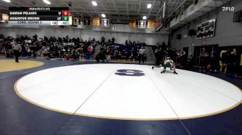 165 lbs Cons. Round 3 - Damian Pelagio, Villa Park vs Augustus Brown, Long Beach Poly
