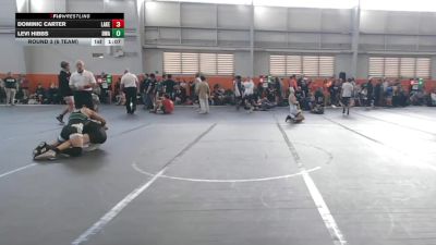 115 lbs Round 3 (6 Team) - Levi Hibbs, Donahue WA vs Dominic Carter, Lake WC
