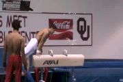 Jake Dalton Pommel