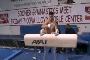 Jake Dalton Pommel Horse