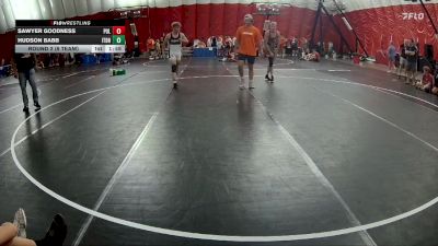 165 lbs Round 2 (8 Team) - Sawyer Goodness, Pulaski vs Hudson Babb, Illinois Top Dawgs Navy