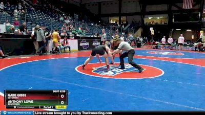 6A-215 lbs Semifinal - Gabe Gibbs, Veteran`s vs Anthony Lowe, Brunswick