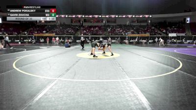 165 lbs Round Of 32 - Andrew Pokalsky, Springfield Tech vs Gavin Zoucha, Wayne State College