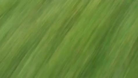 Washington's John L at the finish