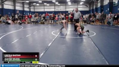 95 lbs Semifinal - Lincoln Bastian, Idaho Gold vs Hunter Wilson, All In Wrestling Academy