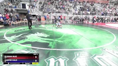 94 lbs Quarterfinal - Elianah Ruiz, NV vs Harper Kalo, MI