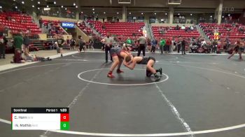 205 lbs Semifinal - Noah Mathis, Bobcat Wrestling Club vs Cooper Hern, Bald Eagle Wrestling