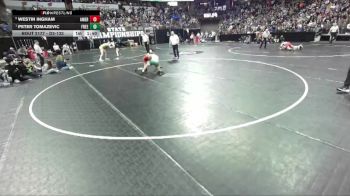 D2-132 lbs Semifinal - Peter Tomazevic, Freedom vs Westin Ingham, Amery