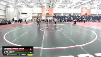 285 lbs Cons. Round 3 - Emre Sensoy, Trinity (CT) vs Cameron Carter-Green, Pitt-Bradford