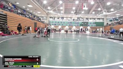 106 lbs Cons. Round 1 - Hudson Hamann, Steele Canyon vs Zac Tran, Torrey Pines