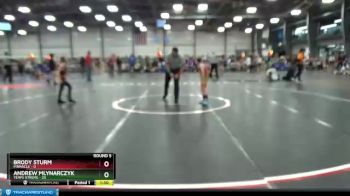 64 lbs Round 5 - Brody Sturm, PINnacle vs Andrew Mlynarczyk, Terps Xtreme