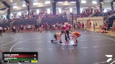 95 lbs Semis & 1st Wrestleback (8 Team) - Emerson Hill, Troup vs Blake Johnson, Ohio Hazards