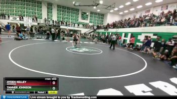 138 lbs Cons. Semi - Tanner Johnson, Douglas vs Ayden Kelley, Kemmerer